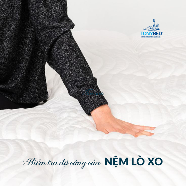 Khả năng nâng đỡ và độ cứng