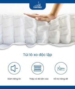 Nệm lò xo túi Dream Star (2)