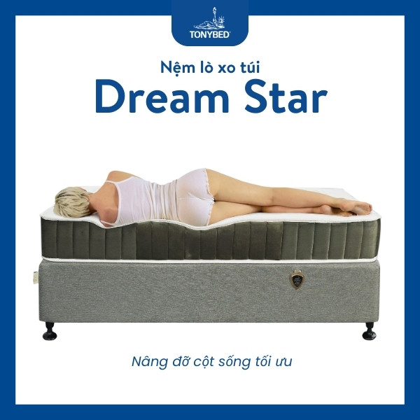 Nệm lò xo túi Dream Star (5)