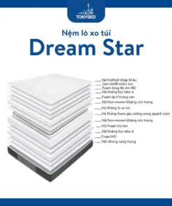 Nệm lò xo túi Dream Star (6)