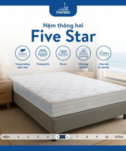 Nệm thông hơi Five Star (5)
