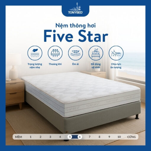 Nệm thông hơi Five Star (5)