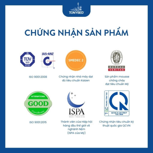 Nệm thông hơi Five Star (7)
