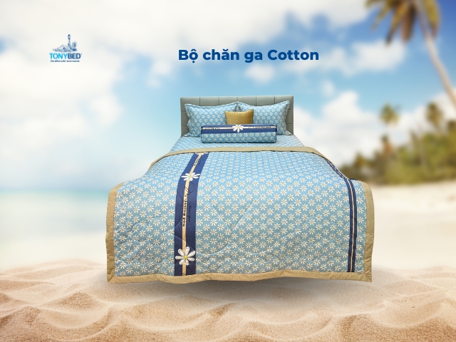 Bo chan ga Cotton