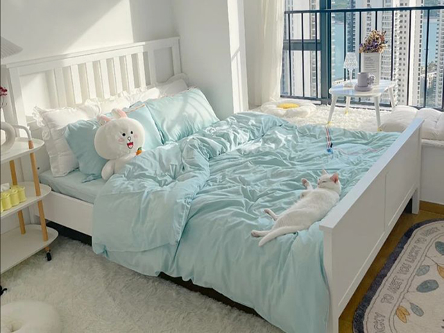 Ly do ga giuong mau pastel tron gay bao mang xa hoi